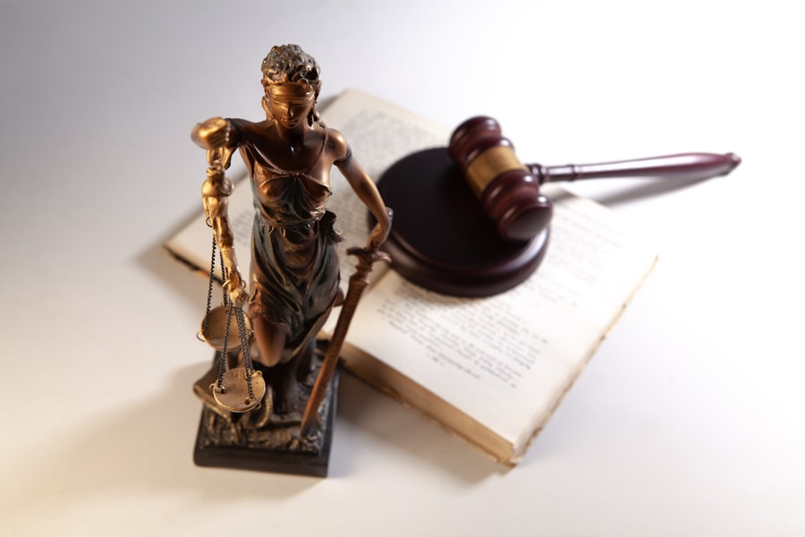 dispute lawyer
